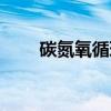 碳氮氧循环（关于碳氮氧循环介绍）