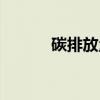 碳排放量（关于碳排放量介绍）