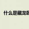 什么是藏龙卧虎的意思（藏龙卧虎的意思）