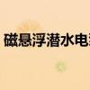 磁悬浮潜水电泵（关于磁悬浮潜水电泵介绍）