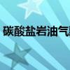 碳酸盐岩油气藏(关于碳酸盐岩油气藏介绍) 碳酸盐岩油气藏(关于碳酸盐岩油气藏介绍)