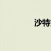 沙特签证政策（沙特签证）
