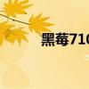 黑莓7100t企业锁（黑莓7100t）