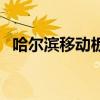 哈尔滨移动板房制作（哈尔滨活动板房厂）