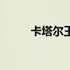 卡塔尔王妃莫扎多高（莫扎王妃）