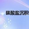 碳酸盐沉积物（关于碳酸盐沉积物介绍）