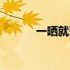 一晒就蔫了（晒蔫是什么意思）