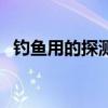 钓鱼用的探测器叫什么(钓鱼用的探测器) 钓鱼用的探测器叫什么(钓鱼用的探测器)