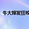 牛大婶发狂咬人是因为吸食了什么毒品答案