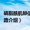 磷脂酰肌醇信号通路（关于磷脂酰肌醇信号通路介绍）