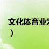文化体育业发票上多少税?（文化体育业发票）