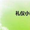 礼仪小姐（关于礼仪小姐介绍）