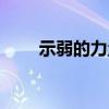 示弱的力量（关于示弱的力量介绍）