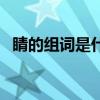 睛的组词是什么一年级（睛的组词是什么）