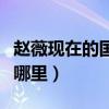 赵薇现在的国籍是哪里人（赵薇现在的国籍是哪里）