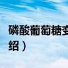 磷酸葡萄糖变位酶（关于磷酸葡萄糖变位酶介绍）