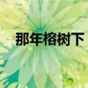 那年榕树下 吉他谱女生版（那年榕树下）