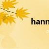 hannsg显示器（hanns g）