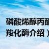 磷酸烯醇丙酮酸羧化酶（关于磷酸烯醇丙酮酸羧化酶介绍）