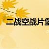 二战空战片堡垒之飞狱天龙（二战空战片）