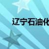 辽宁石油化工大学职业技术学院邓书平