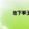 地下拳王皮肤多少钱（地下拳王）