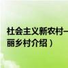 社会主义新农村——美丽乡村（关于社会主义新农村——美丽乡村介绍）