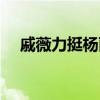 戚薇力挺杨丽萍视频（戚薇力挺杨丽萍）