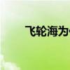 飞轮海为何解散（飞轮海是否解散）
