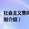 社会主义集体所有制（关于社会主义集体所有制介绍）
