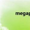 megapixels是什么牌子摄像机