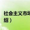 社会主义市场体系（关于社会主义市场体系介绍）