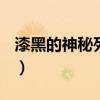 漆黑的神秘列车终点（漆黑的特快列车(终点)）