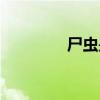 尸虫是怎么产生的（尸虫）