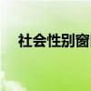 社会性别窗口（关于社会性别窗口介绍）