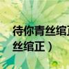 待你青丝绾正,铺十里红妆可愿翻译（待你青丝绾正）