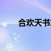 合欢天书加点攻略（合欢天书加点）