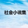 社会小说集 下（关于社会小说集 下介绍）