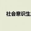 社会意识生产（关于社会意识生产介绍）