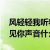 风轻轻我听着你声音 是什么歌（风轻轻我听见你声音什么歌）