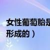 女性葡萄胎是什么原因造成的（葡萄胎是怎么形成的）