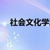 社会文化学派（关于社会文化学派介绍）