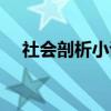 社会剖析小说（关于社会剖析小说介绍）