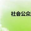 社会公众股（关于社会公众股介绍）