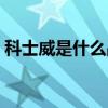 科士威是什么品牌什么档次（科士威是什么）