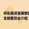 祁东县灵官镇枣园村支部委员会（关于祁东县灵官镇枣园村支部委员会介绍）