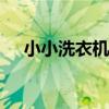 小小洗衣机app下载（小小洗衣机app）