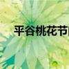 平谷桃花节门票价格（平谷桃花节门票）