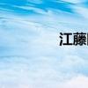 江藤眼镜片价格表（江藤）
