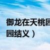 御龙在天桃园结义现在是哪个区（御龙在天桃园结义）